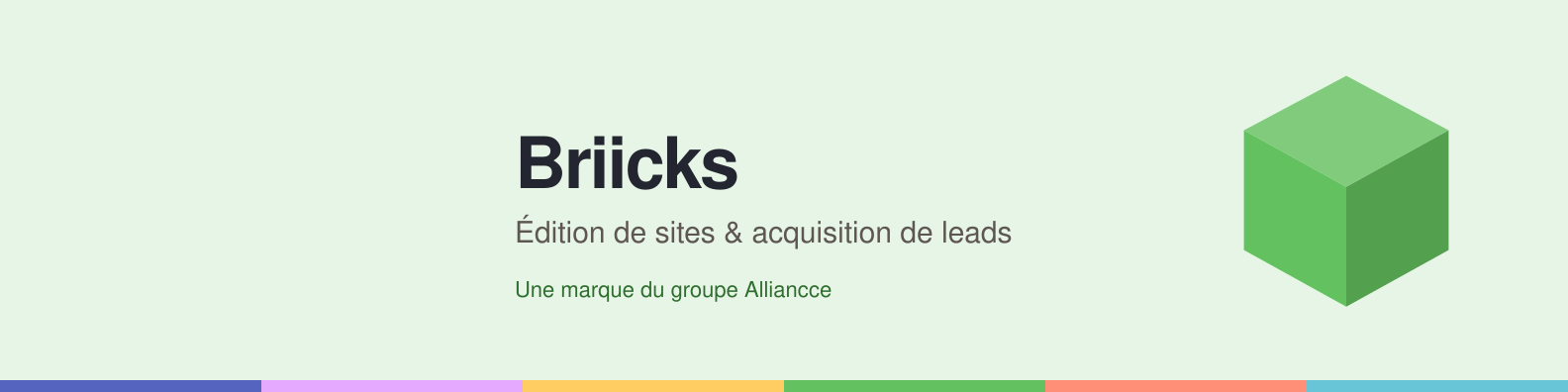 Bannière LinkedIn Briicks