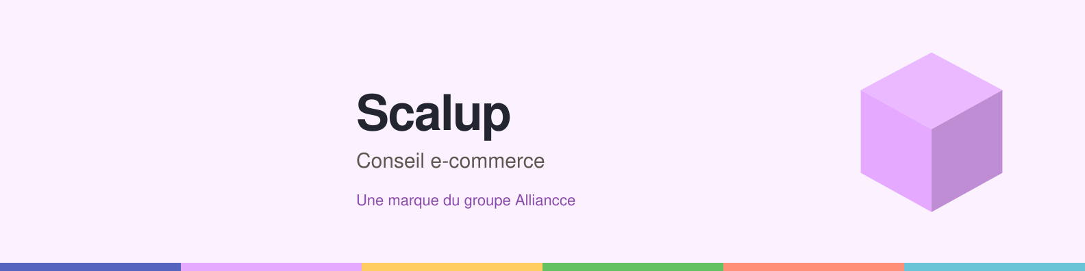 Bannière LinkedIn Scalup